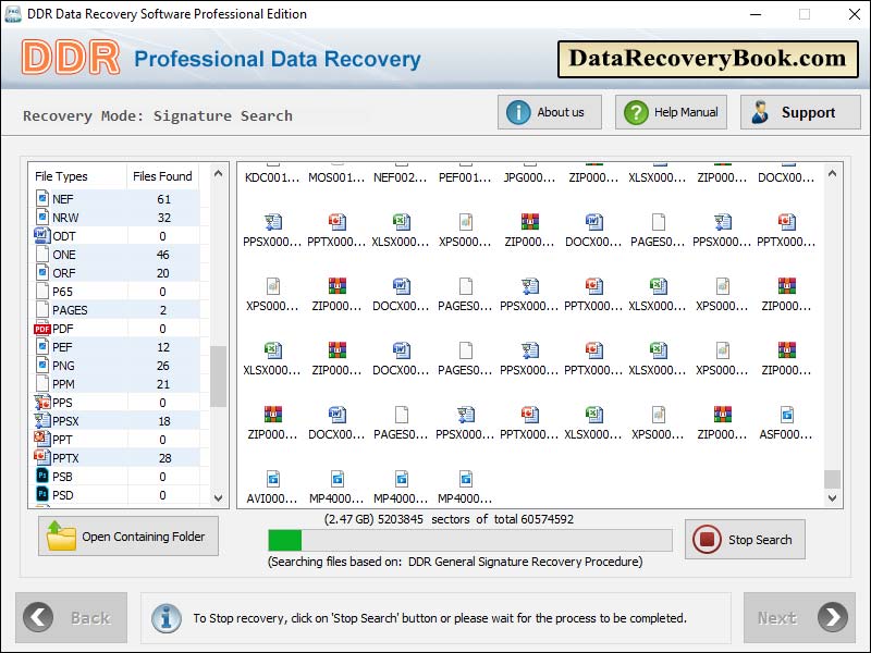 Screenshot of Professional Data Recovery