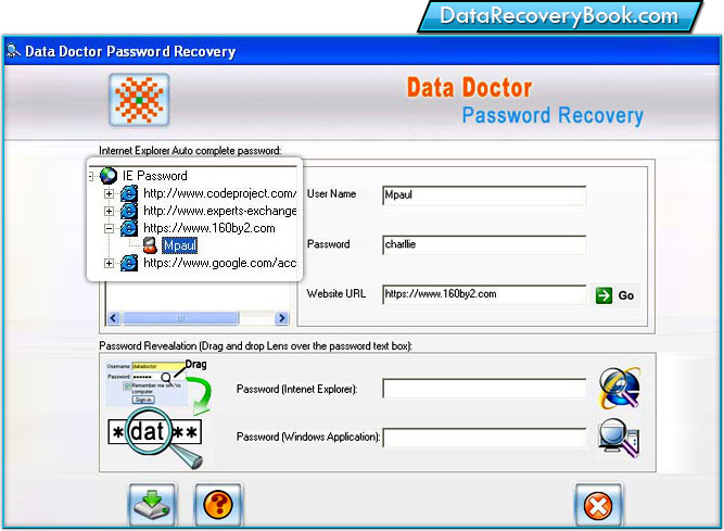 Internet Explorer Password Recovery Software