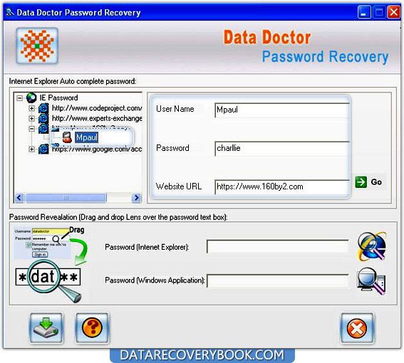 Internet Explorer Password Recovery Software