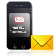 Professional Bulk SMS Software